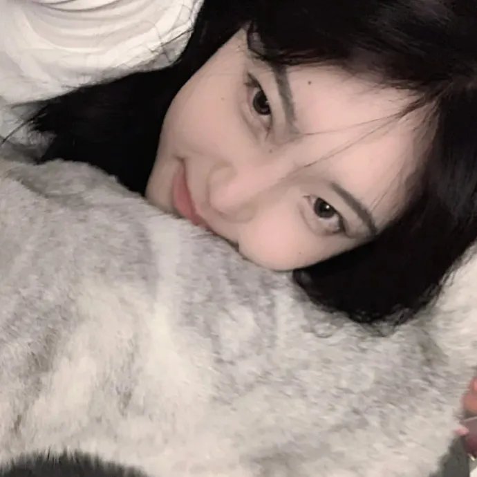 北极世界末日 2028 电影