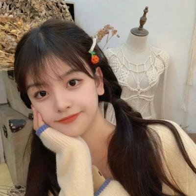 女记者的日记 2025 剧集