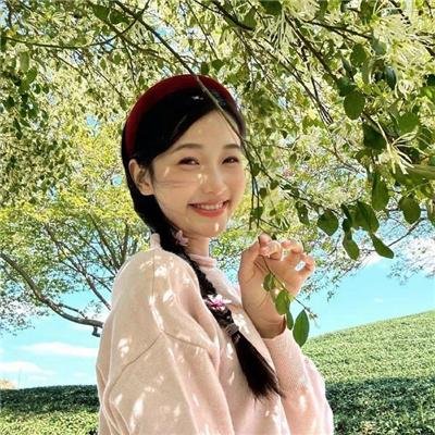不干我的事 2026 剧集